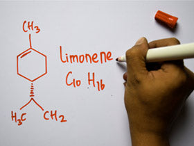 Journal of Cannabis Research: The Preservation and Augmentation of Volatile Terpenes in Cannabis Inflorescence